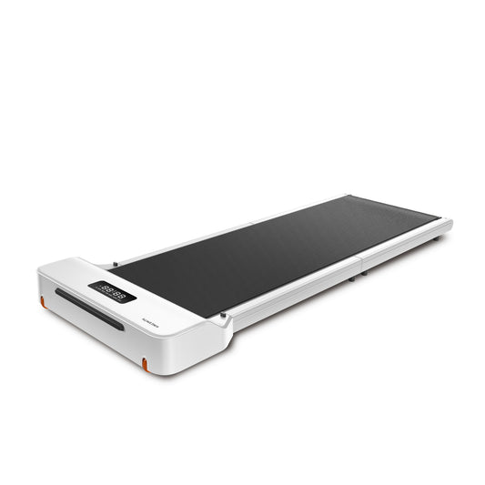 WalkingPad  Z1